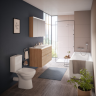 Напольный унитаз VITRA NORM EISBERG 9844B099-7201